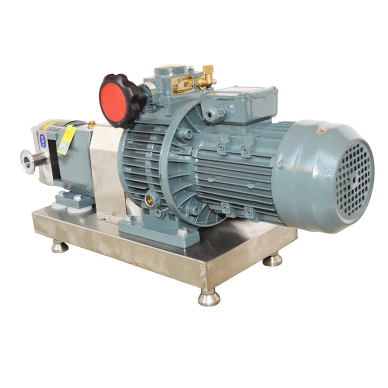 0.5KW For Hygienic grade cam rotor pump