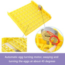 Incubateur d'oeufs de volaille 110V 112 oeufs éclosoir numérique entièrement automatique tournant le contrôle de la température 