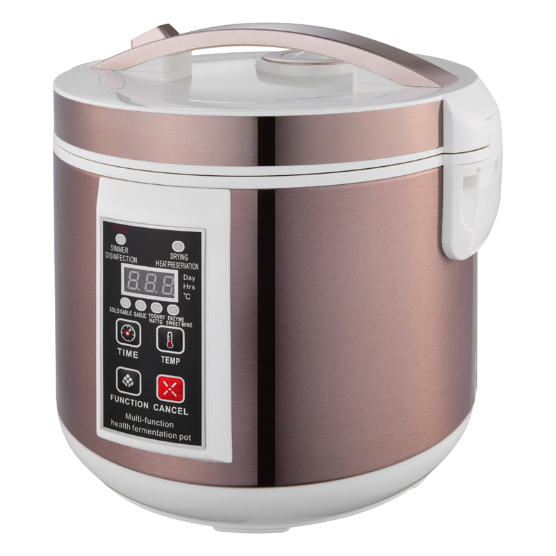 Pot de Fermentation Santé Multifonctionnel 6L Ail Noir 110V 