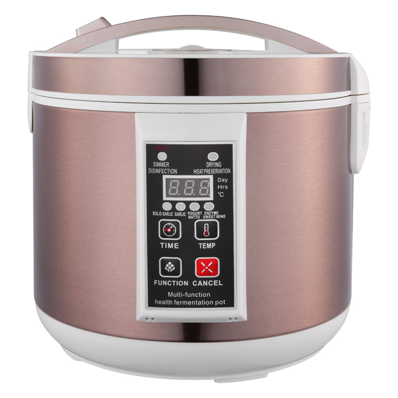 Pot de Fermentation Santé Multifonctionnel 6L Ail Noir 110V 