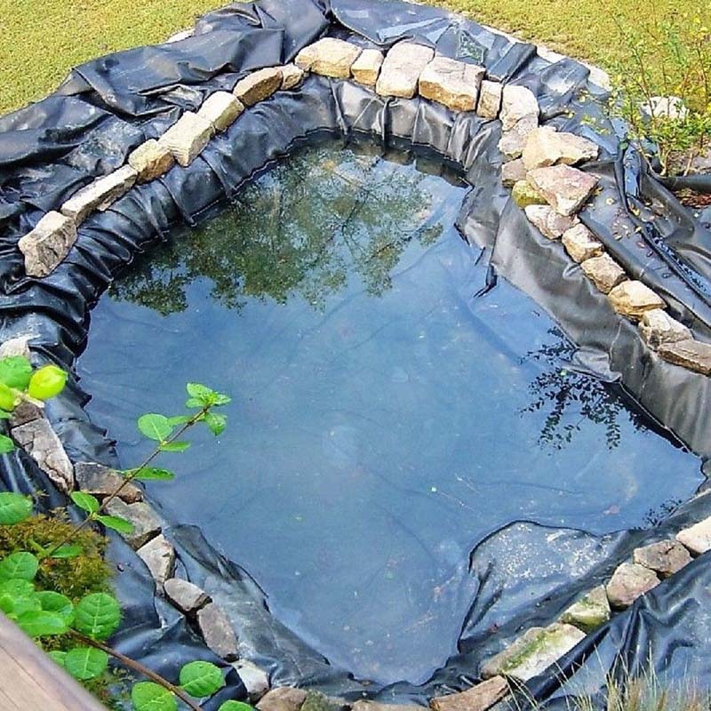 Noir 20'x20' Flexible Water Garden Fish Pond Liner Élasticité HDPE 
