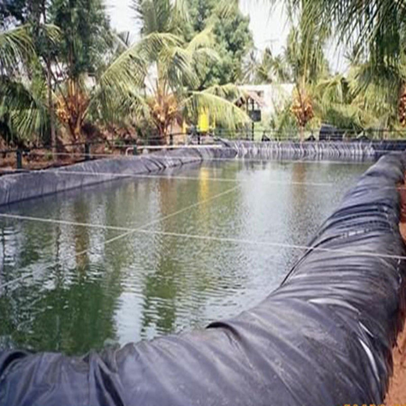 Noir 20'x20' Flexible Water Garden Fish Pond Liner Élasticité HDPE 
