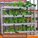 Hydroponic 36 Plant Site Grow Kit