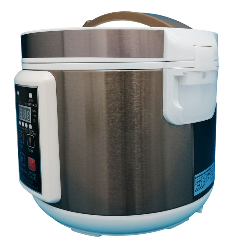 Pot de Fermentation Santé Multifonctionnel 5L Ail Noir 110V 