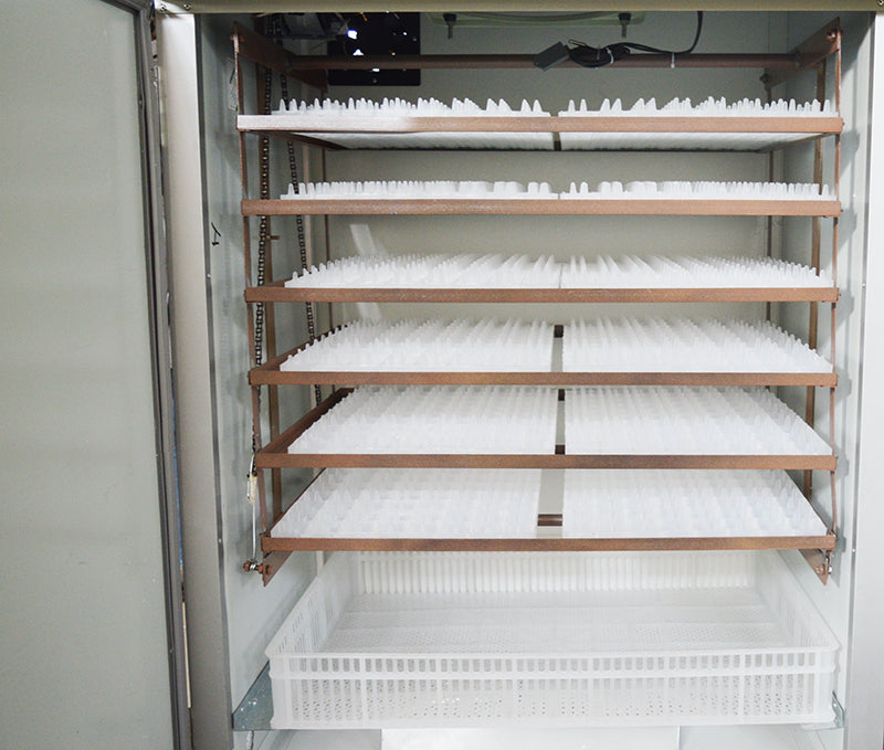 Incubateur de ferme de soins de volaille à grande échelle 1056 Contrôle automatique de la température et rotation des œufs 