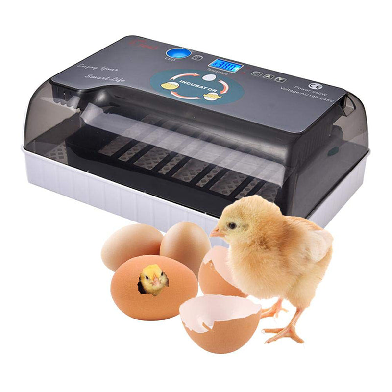 110V 12 Oeufs Incubateur Volaille Incubateur Hatcher Hatching Box Auto Turning with LED Candler 