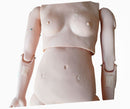 Patient Care Teaching Human Manikin