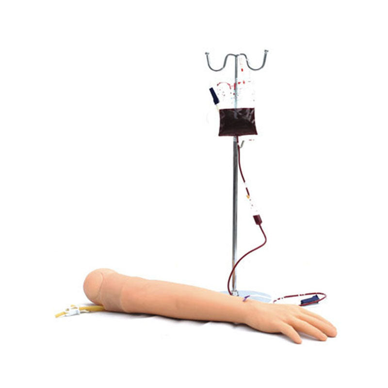 Modèle de bras d'entraînement pour injection de ponction veineuse adulte 