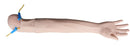 Adult Venipuncture Injection Training Arm Model