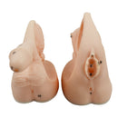 Male And Female Catheter Anatomy Model Set