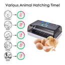 110V 12 Oeufs Incubateur Volaille Incubateur Hatcher Hatching Box Auto Turning with LED Candler 