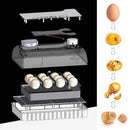 110V 12 Oeufs Incubateur Volaille Incubateur Hatcher Hatching Box Auto Turning with LED Candler 