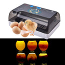 110V 12 Oeufs Incubateur Volaille Incubateur Hatcher Hatching Box Auto Turning with LED Candler 