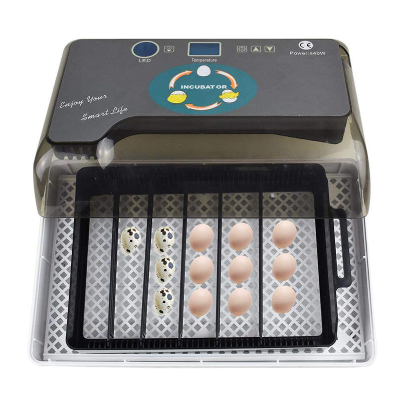 110V 12 Eggs Incubator