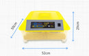 Incubateur d'oeufs numérique Couveuse de volaille automatique avec rotation des oeufs et contrôle de l'humidité 48 ~ 96 oeufs 110V (48 oeufs) 