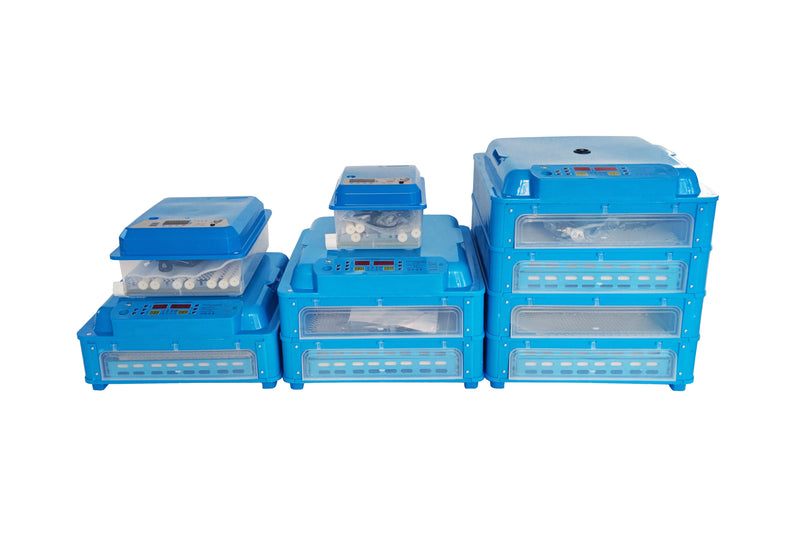 110V 256 Eggs Incubator